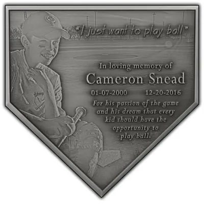 Small aluminum baseball memorial plaque with team graphics