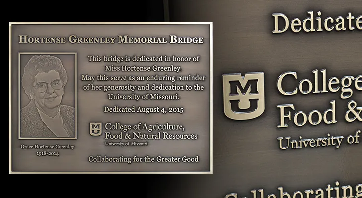 Bronze bridge dedication plaque